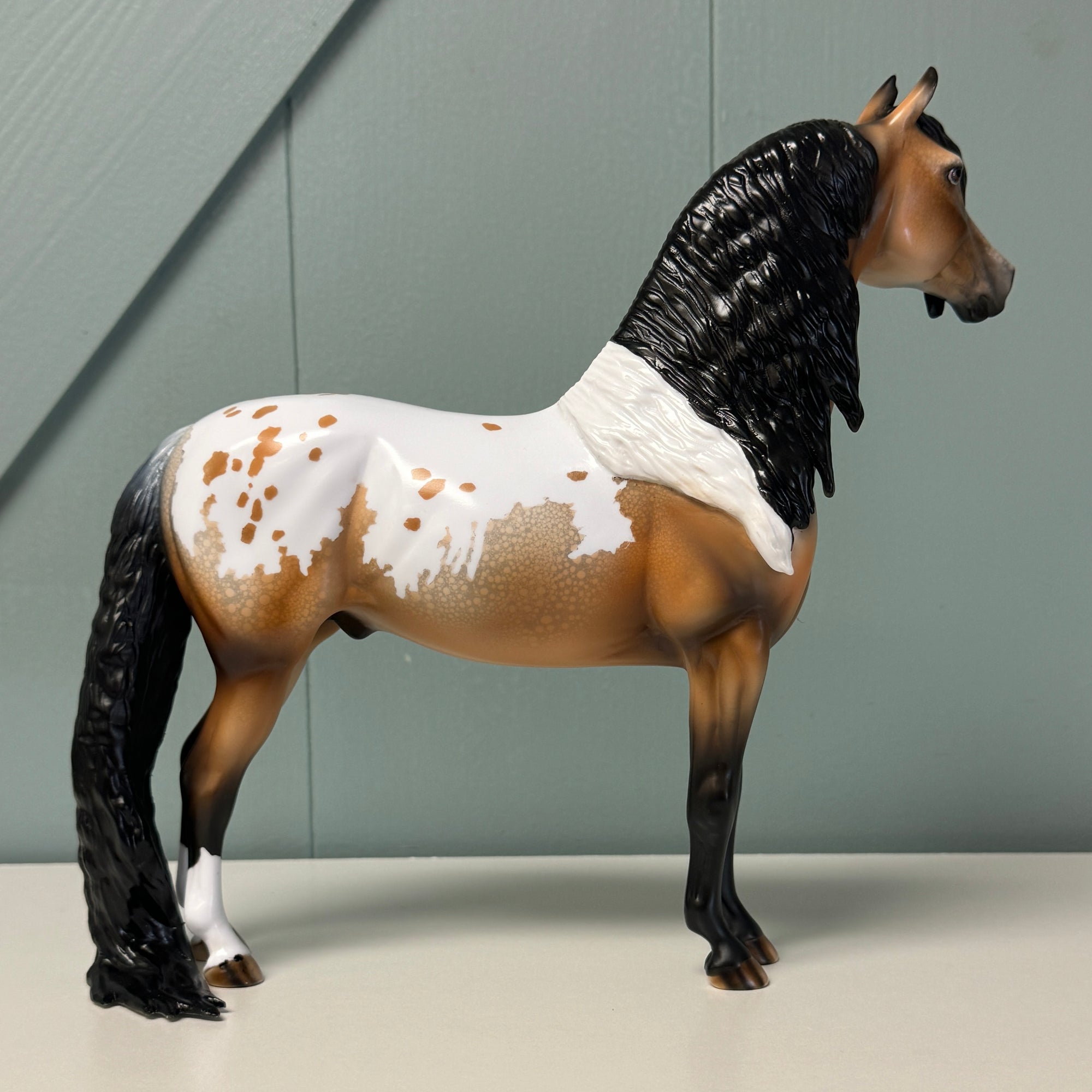 Afficere OOAK Buckskin Appaloosa Morgan By Dawn Quick EQ24
