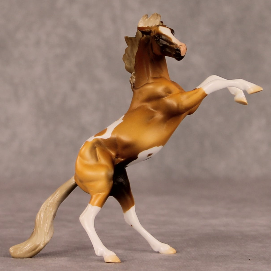 William OOAK Chestnut Pinto Rearing Chip By Jamie Adamson HS24