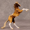 William OOAK Chestnut Pinto Rearing Chip By Jamie Adamson HS24