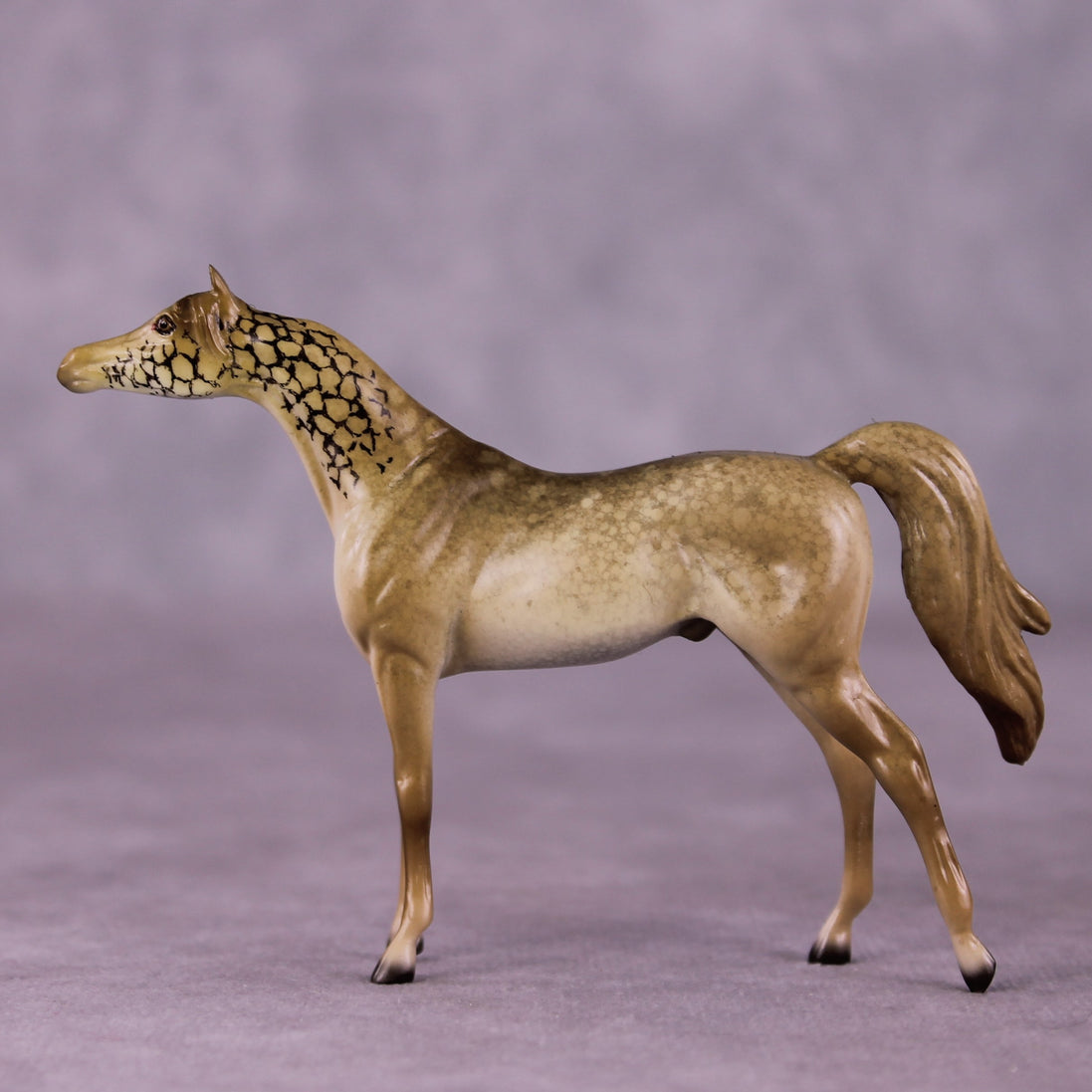 "Giralang" OOAK Arabian Chip by Jess Hamill MS25