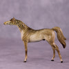 &quot;Giralang&quot; OOAK Arabian Chip by Jess Hamill MS25
