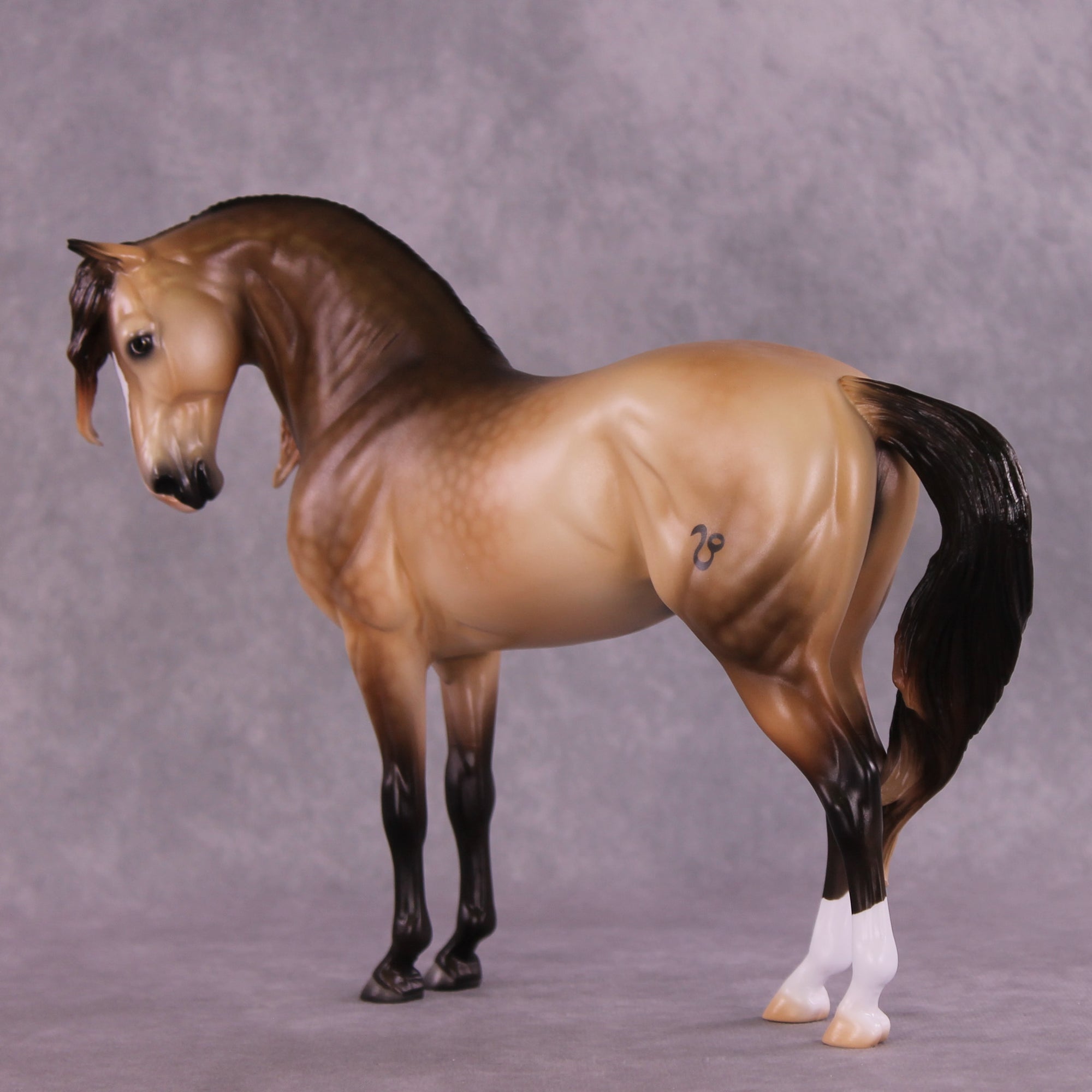 "Regulus" LE-10 EFCM Andalusian by Ashley Palmer ZS25