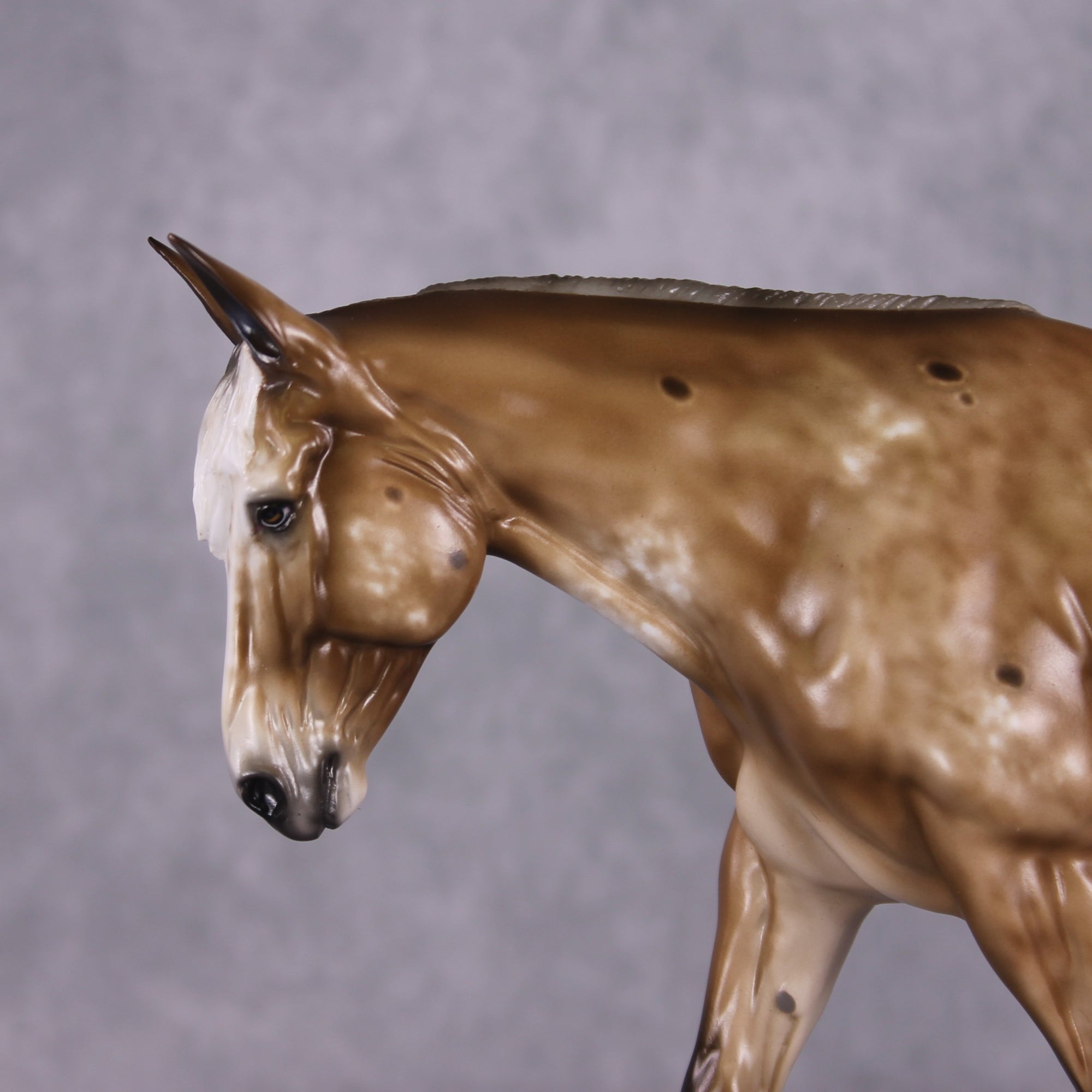 "Gusty" Best Offer FCM Large Mule By Sheryl Leisure 04/15/2025