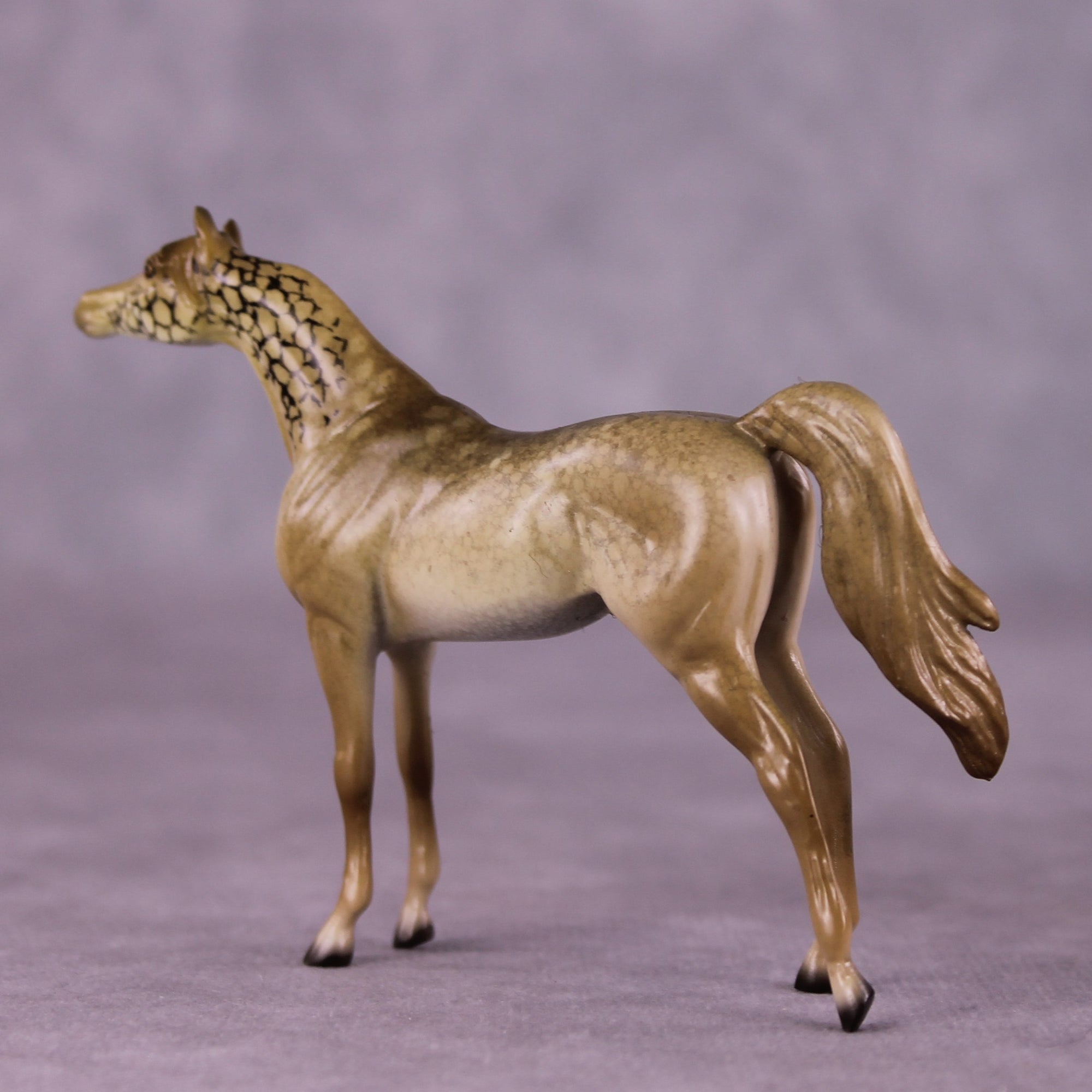 "Giralang" OOAK Arabian Chip by Jess Hamill MS25