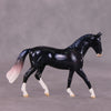 May The Fourth Be With You OOAK Surprise Warmblood Chips Grab Bag by Ellen Robbins SCD25