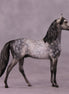 "Scion" OOAK Morgan Chip by Dawn Quick SHCF25OS
