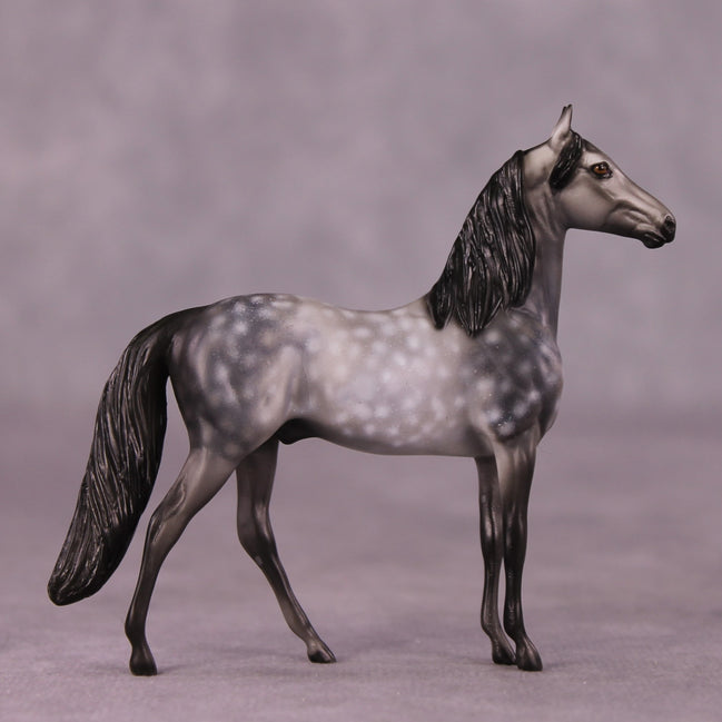 "Scion" OOAK Morgan Chip by Dawn Quick SHCF25OS