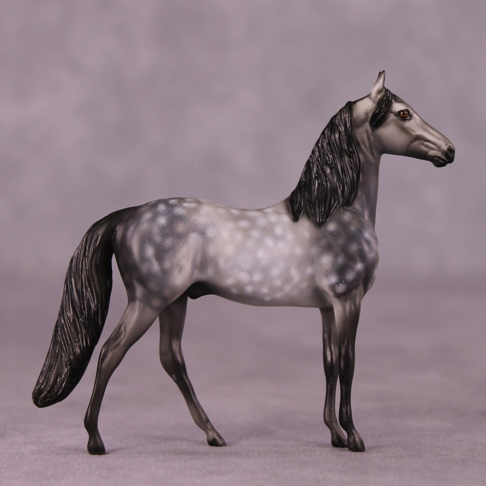 "Scion" OOAK Morgan Chip by Dawn Quick SHCF25OS