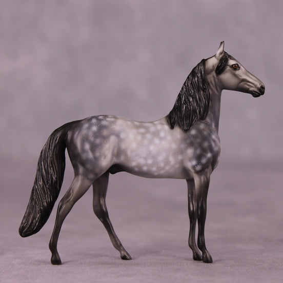 "Scion" OOAK Morgan Chip by Dawn Quick SHCF25OS