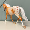 Chuffed To Bits OOAK Appaloosa Palouse By Dawn Quick EQ24