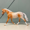 Chuffed To Bits OOAK Appaloosa Palouse By Dawn Quick EQ24