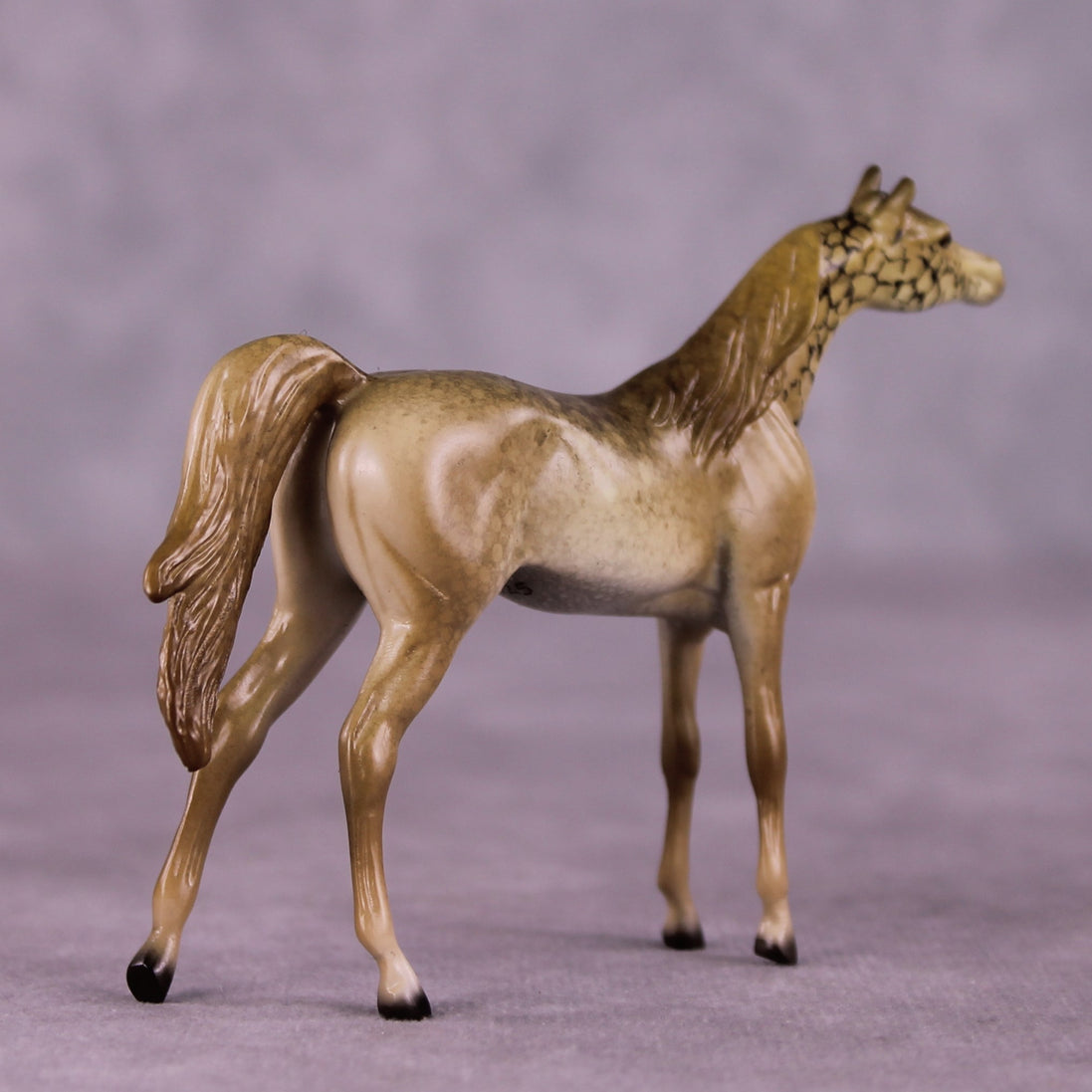 "Giralang" OOAK Arabian Chip by Jess Hamill MS25