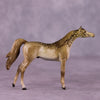 &quot;Giralang&quot; OOAK Arabian Chip by Jess Hamill MS25