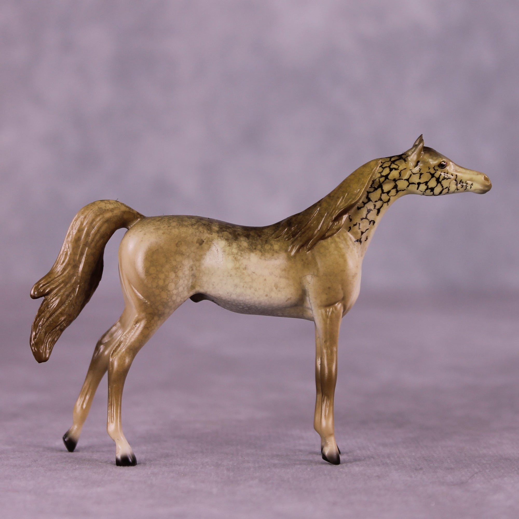 "Giralang" OOAK Arabian Chip by Jess Hamill MS25