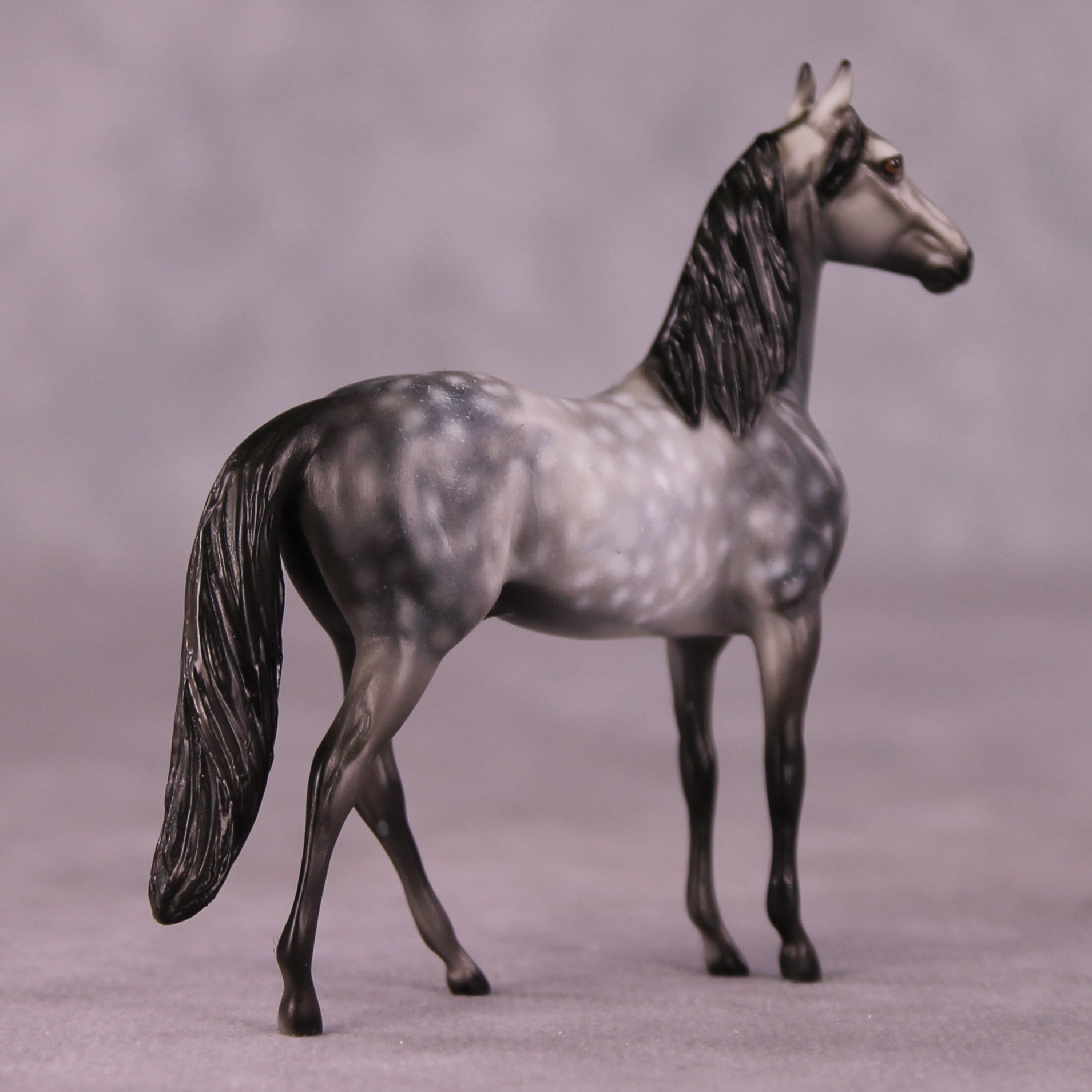 "Scion" OOAK Morgan Chip by Dawn Quick SHCF25OS