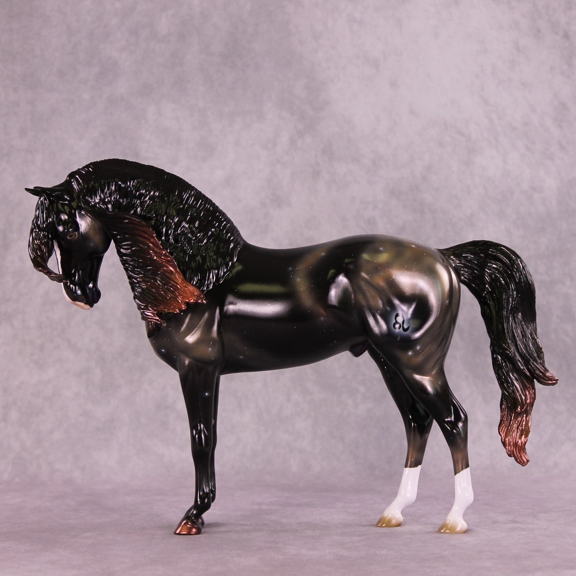 "Algieba" LE-10 EFCM Andalusian by Ashley Palmer ZS25