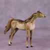 &quot;Giralang&quot; OOAK Arabian Chip by Jess Hamill MS25