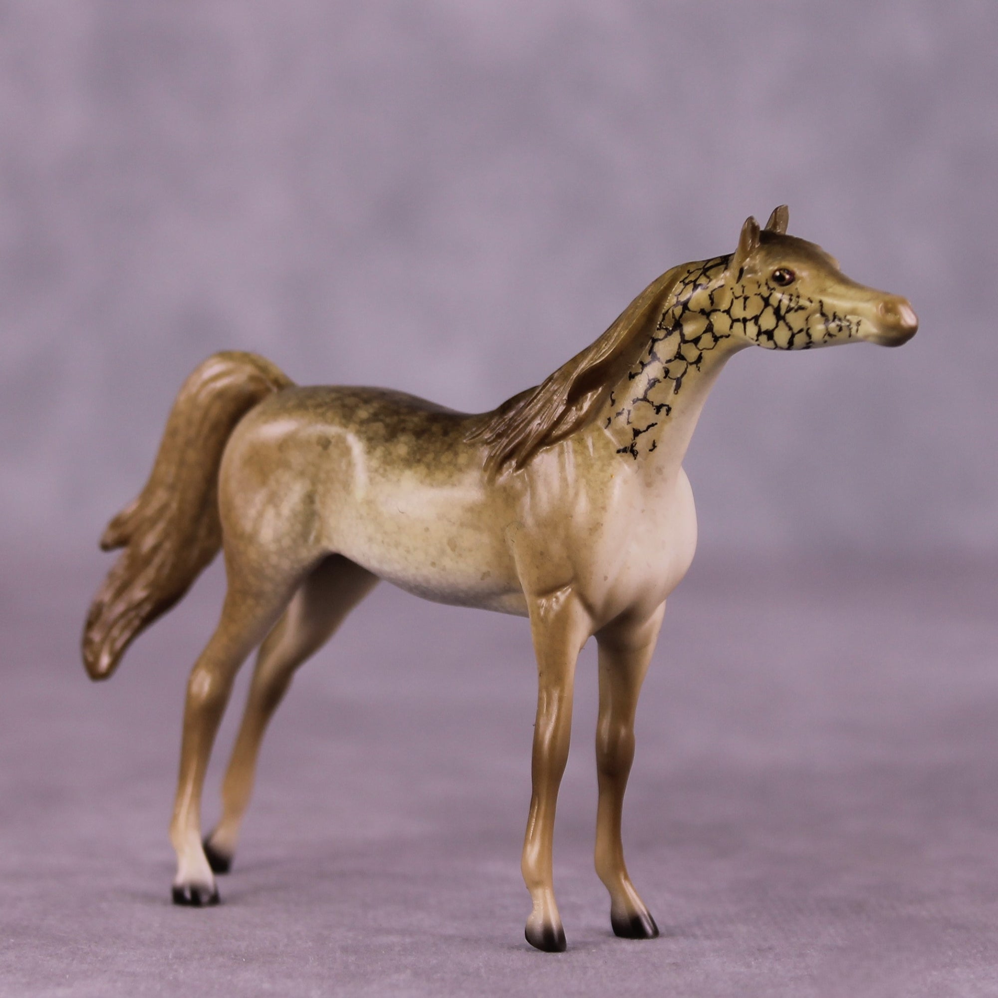 "Giralang" OOAK Arabian Chip by Jess Hamill MS25
