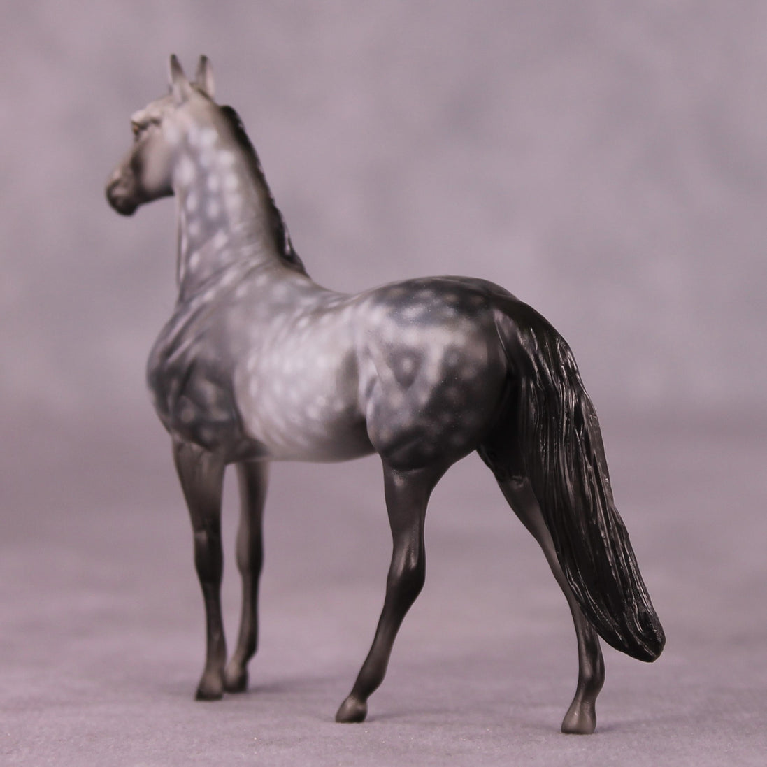 "Scion" OOAK Morgan Chip by Dawn Quick SHCF25OS