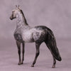 &quot;Scion&quot; OOAK Morgan Chip by Dawn Quick SHCF25OS