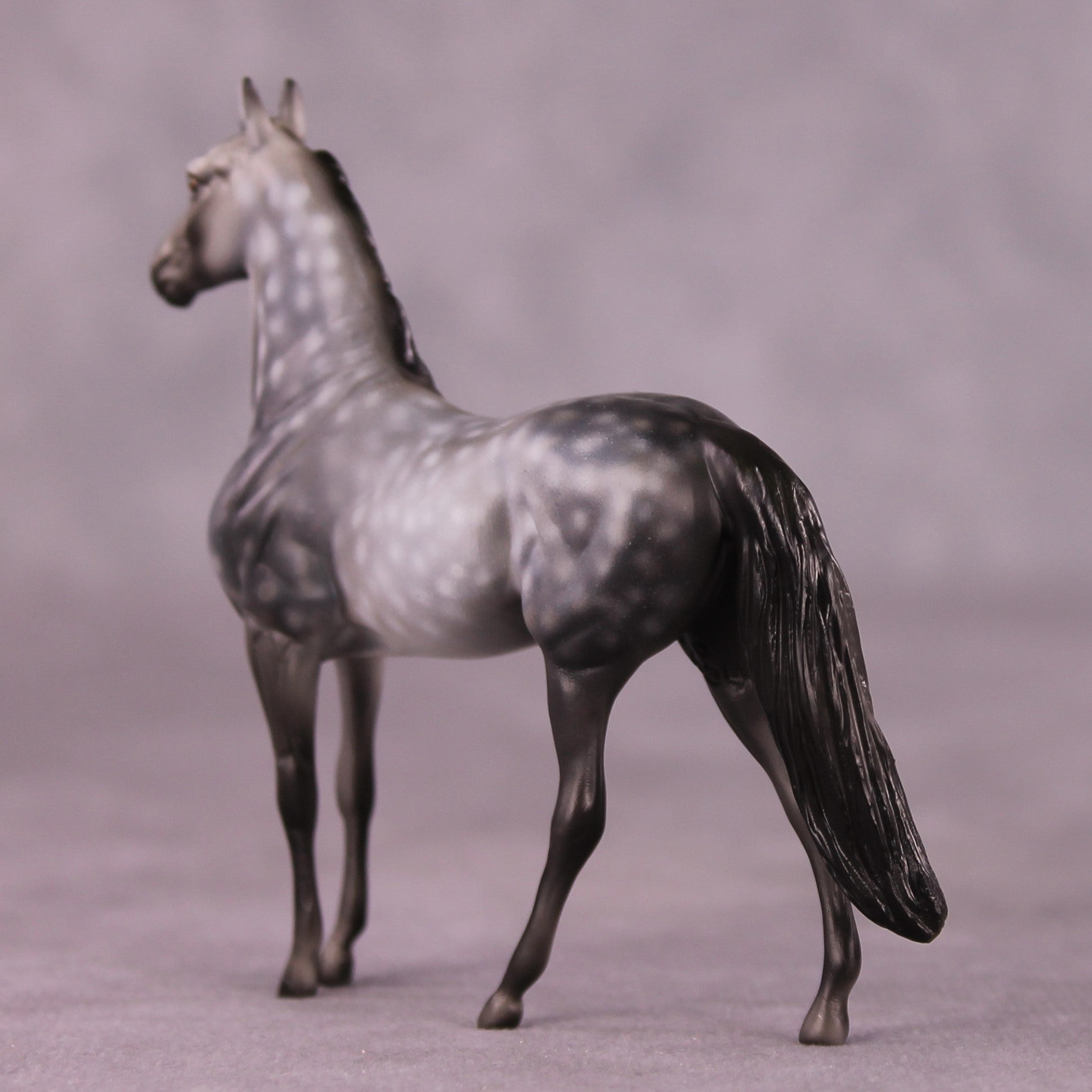 "Scion" OOAK Morgan Chip by Dawn Quick SHCF25OS