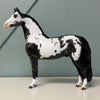 Big Moves OOAK Dappled Black Overo Morgan By Dawn Quick EQ24