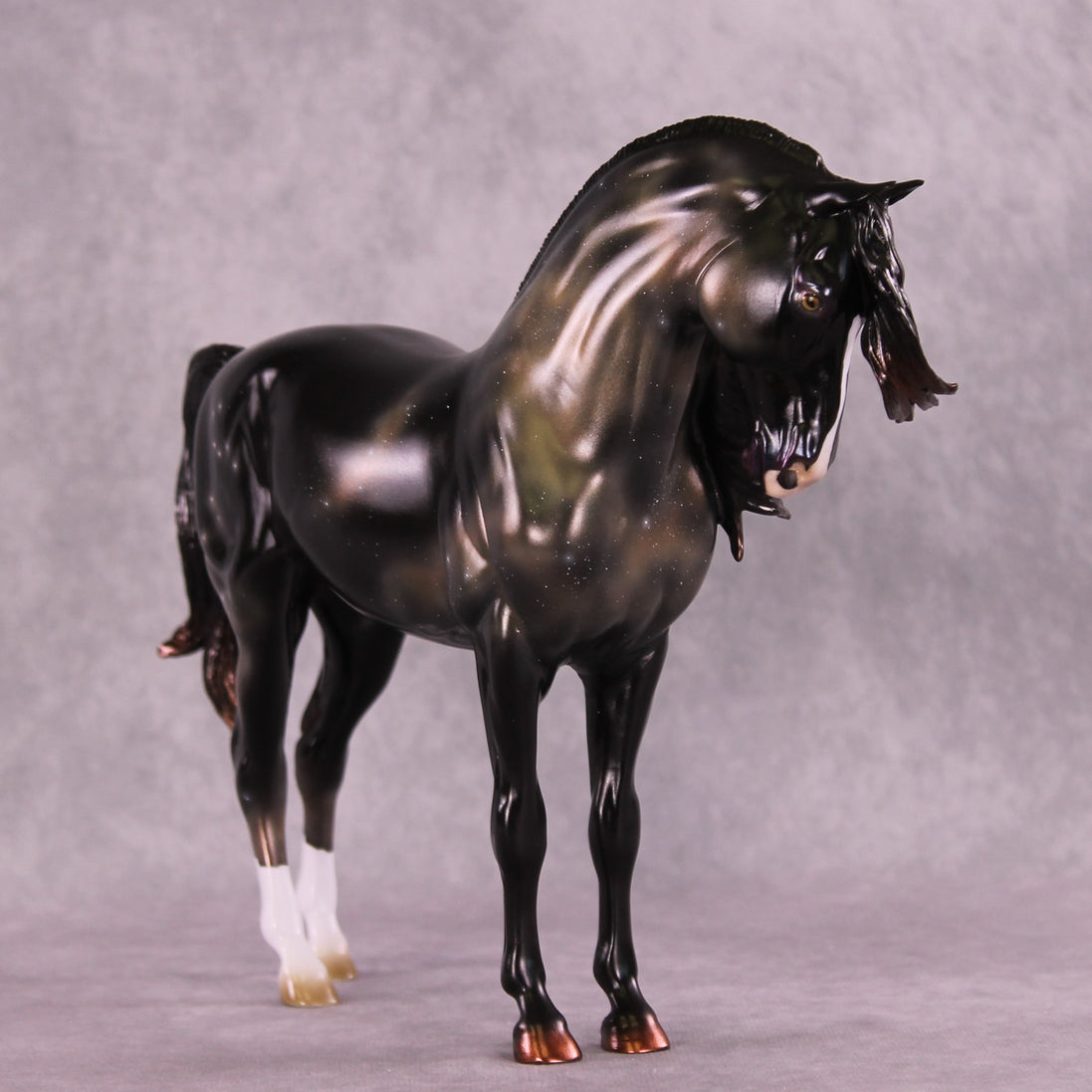 "Algieba" LE-10 EFCM Andalusian by Ashley Palmer ZS25
