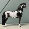 Big Moves OOAK Dappled Black Overo Morgan By Dawn Quick EQ24