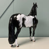 Big Moves OOAK Dappled Black Overo Morgan By Dawn Quick EQ24