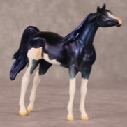 Frankie OOAK Blue Pinto Deco Arabian Chip By Jamie Adamson HS24