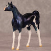 Frankie OOAK Blue Pinto Deco Arabian Chip By Jamie Adamson HS24