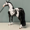 Big Moves OOAK Dappled Black Overo Morgan By Dawn Quick EQ24