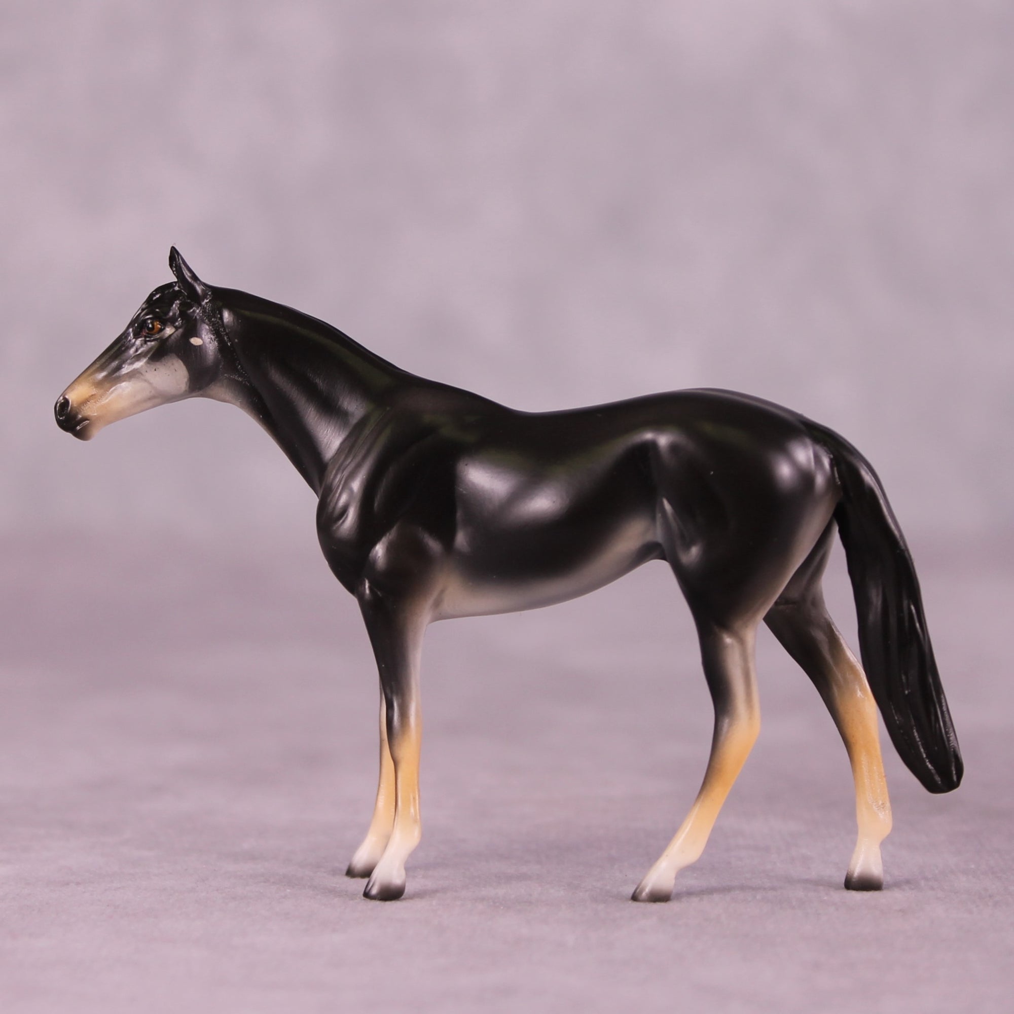 &quot;Berri&quot; OOAK Thoroughbred Chip by Jess Hamill MS25