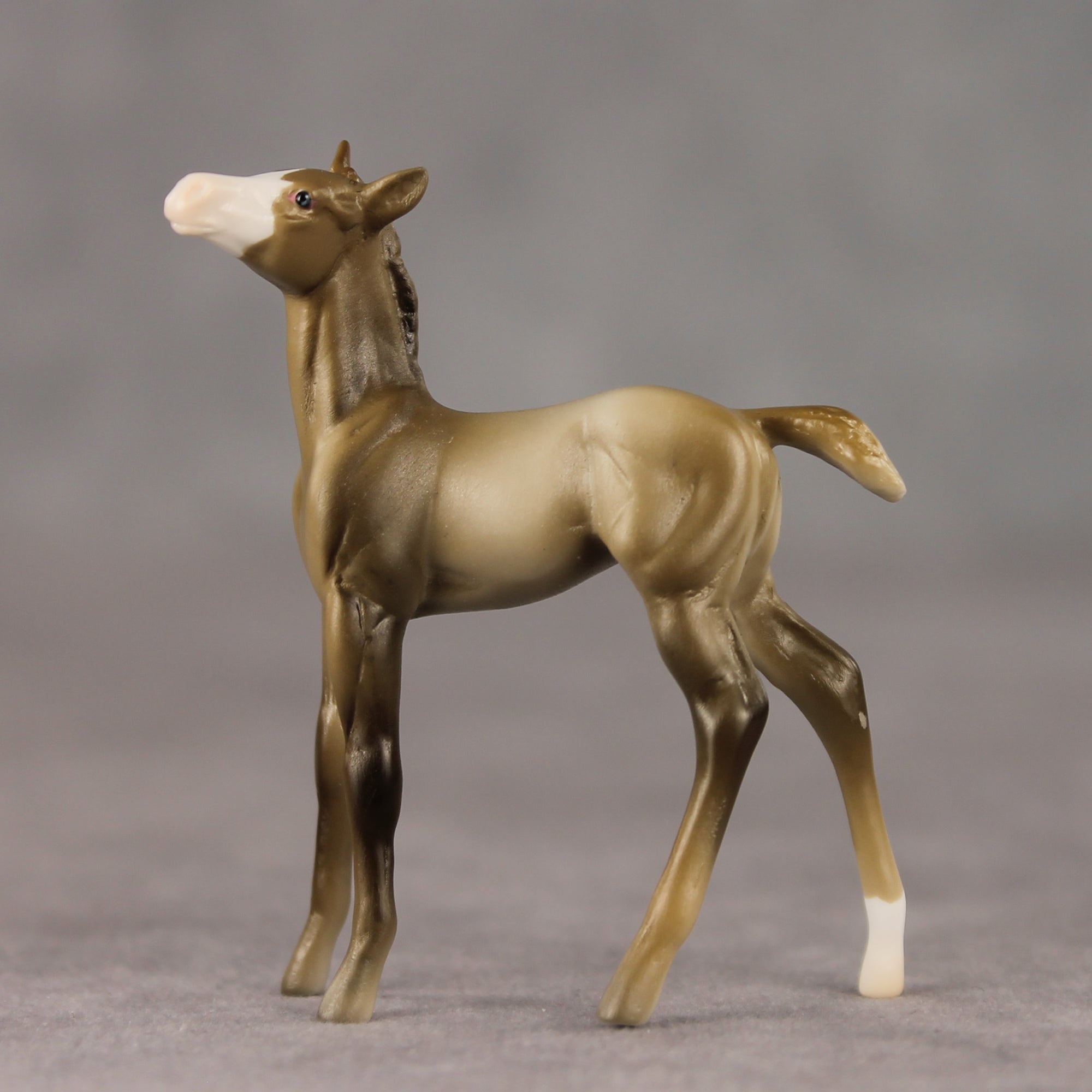 Paint Room Shrew OOAK Chip Foal by Tegan Davis GS26