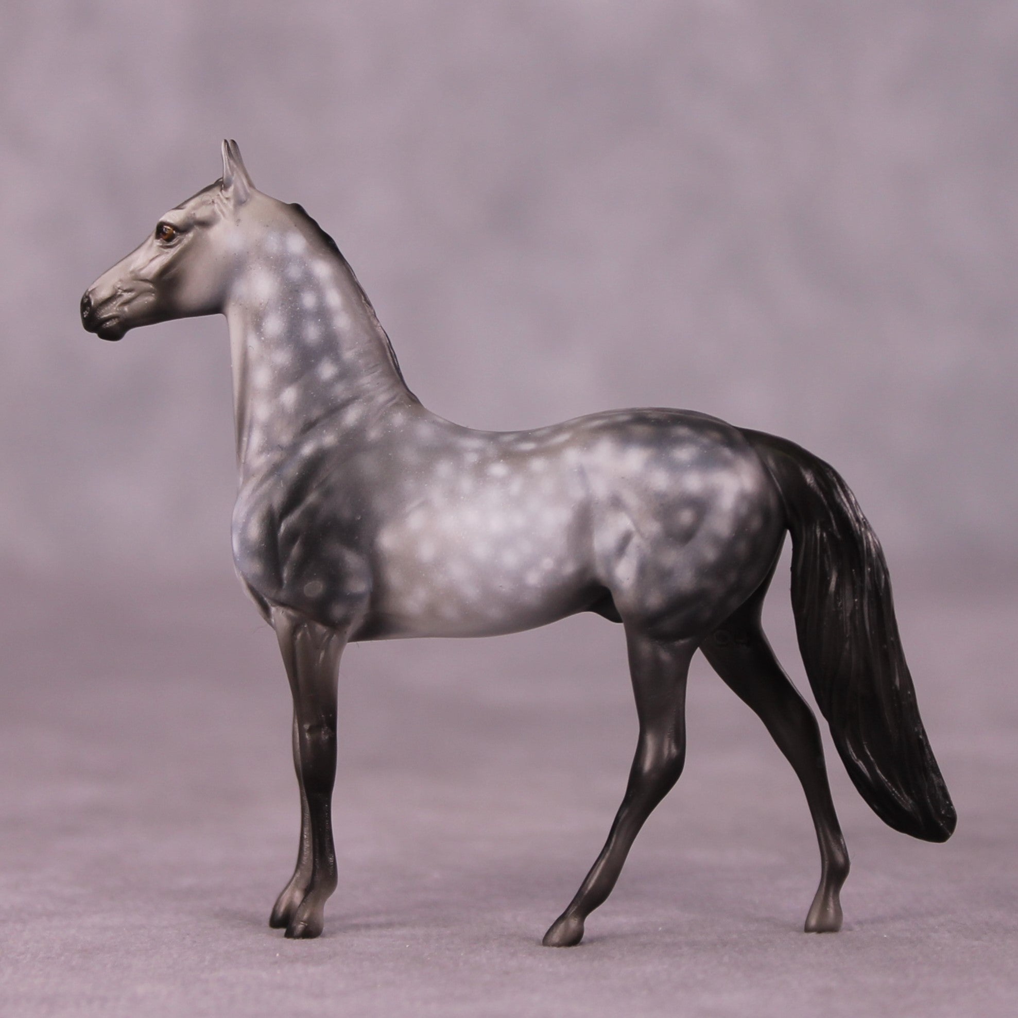 "Scion" OOAK Morgan Chip by Dawn Quick SHCF25OS