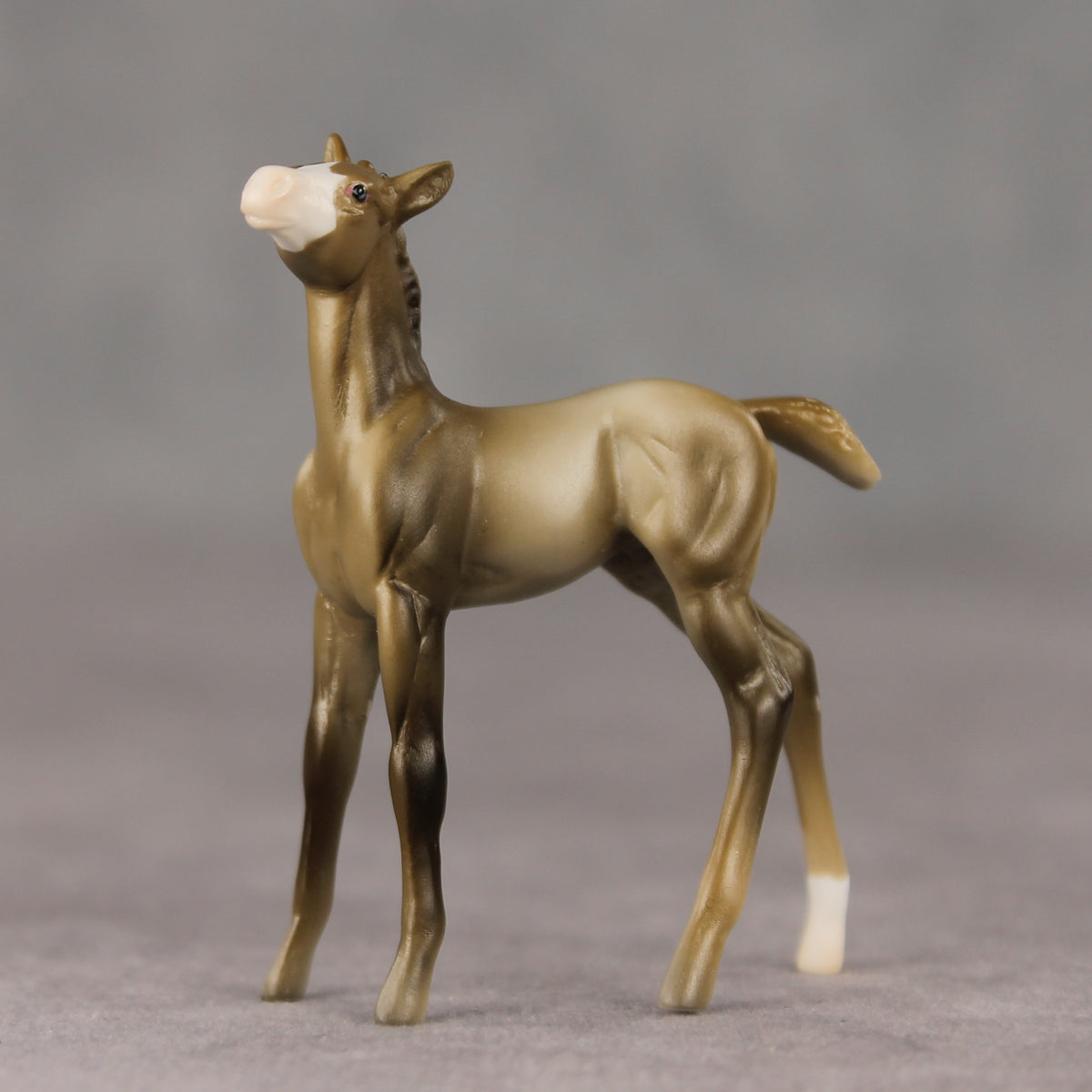 Paint Room Shrew OOAK Chip Foal by Tegan Davis GS26