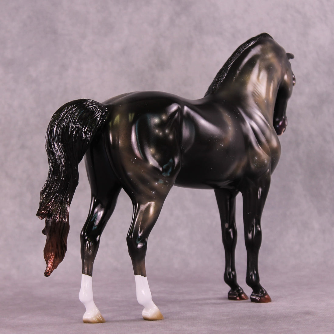 "Algieba" LE-10 EFCM Andalusian by Ashley Palmer ZS25