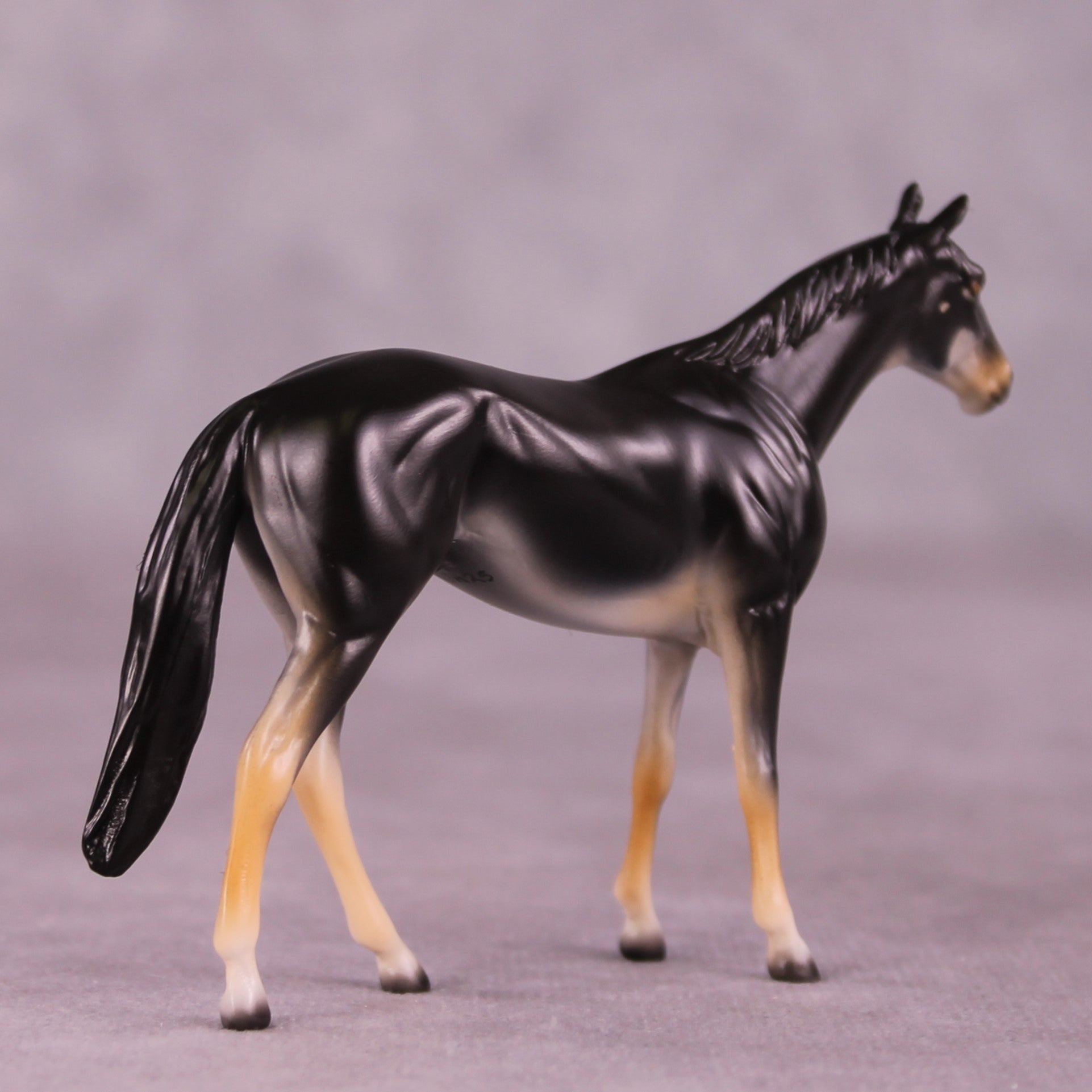 &quot;Berri&quot; OOAK Thoroughbred Chip by Jess Hamill MS25
