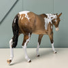 Epiphany OOAK Dappled Buckskin Tobiano Mule By Dawn Quick EQ24