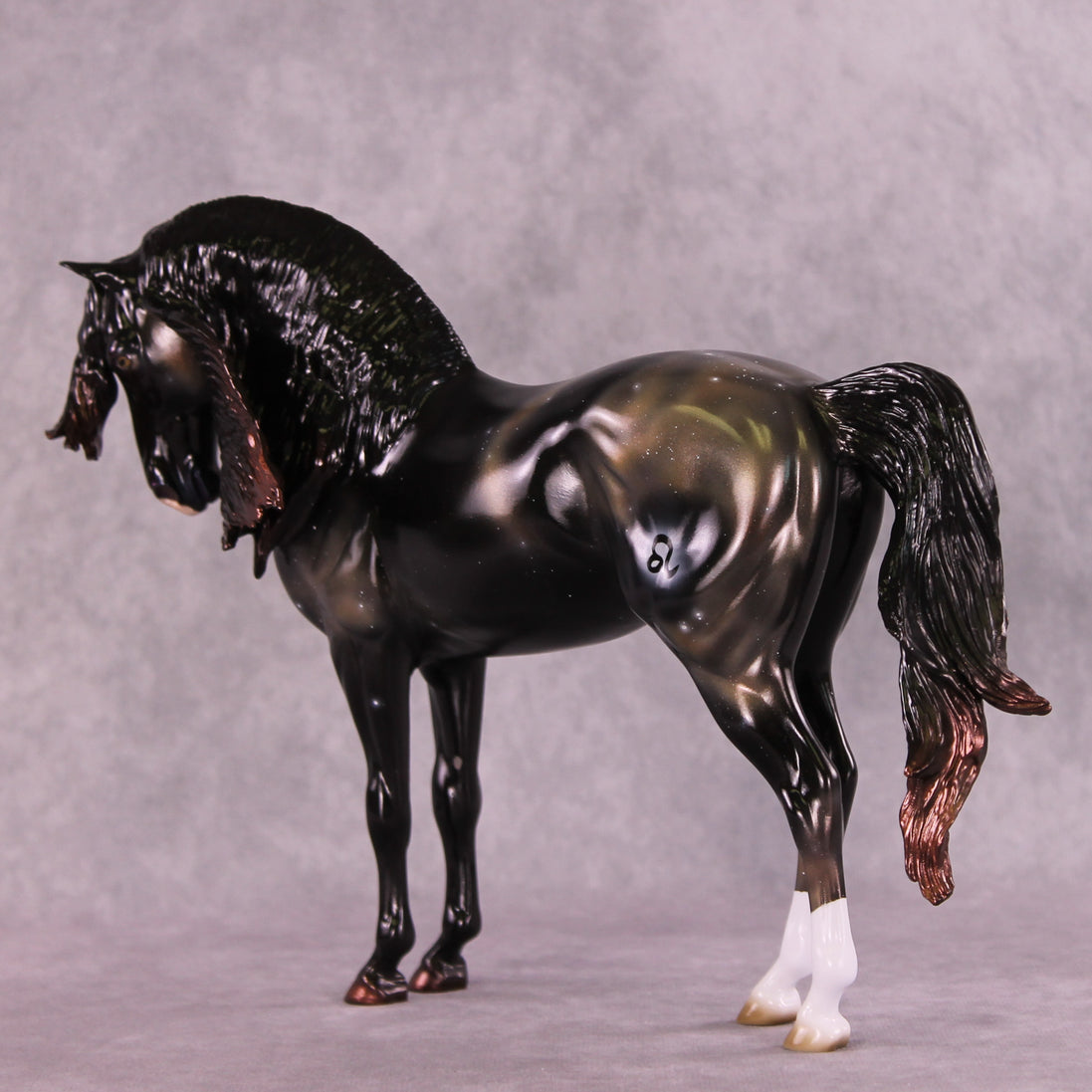 "Algieba" LE-10 EFCM Andalusian by Ashley Palmer ZS25