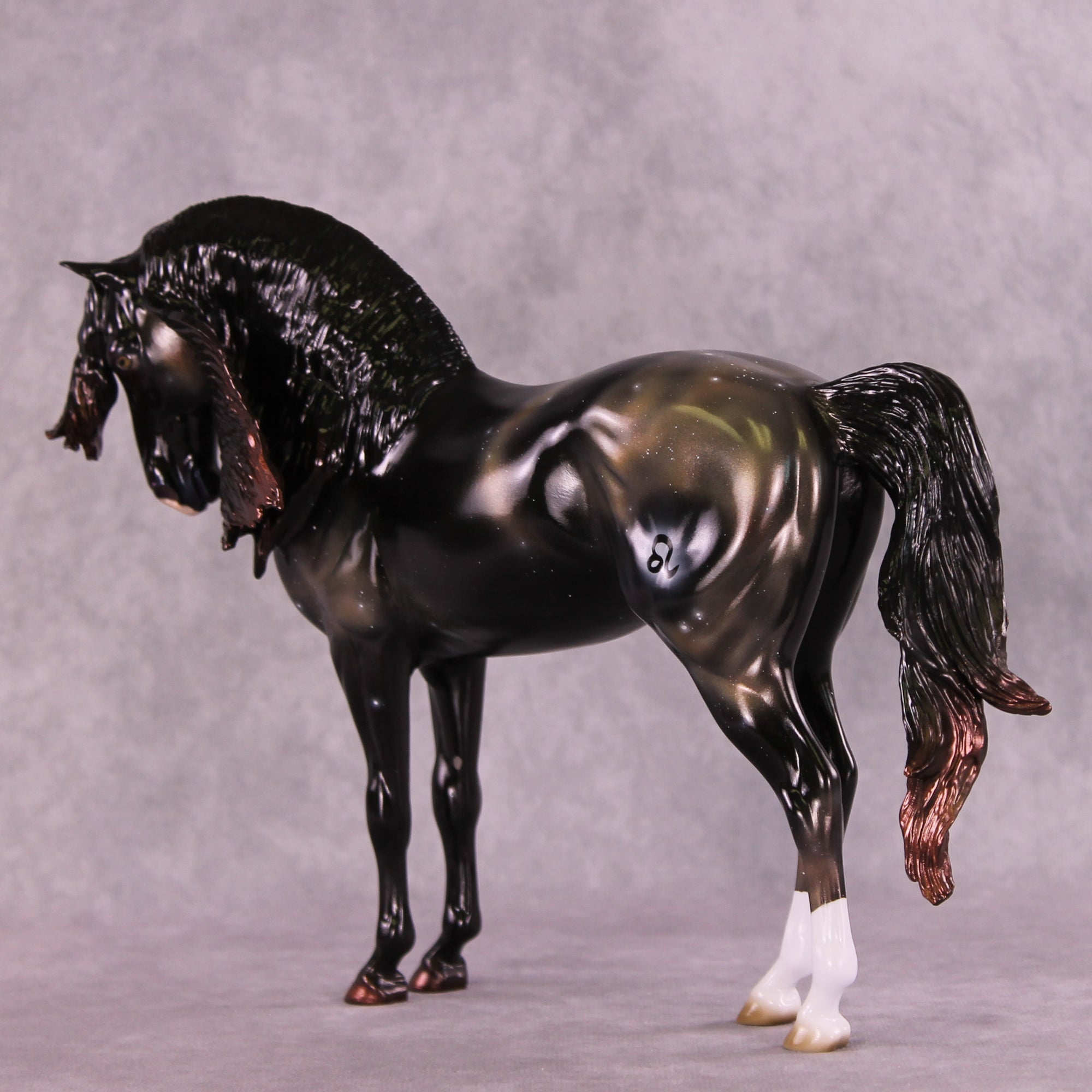 Algieba LE-10 EFCM Andalusian by Ashley Palmer 11/25/2025 SS1125