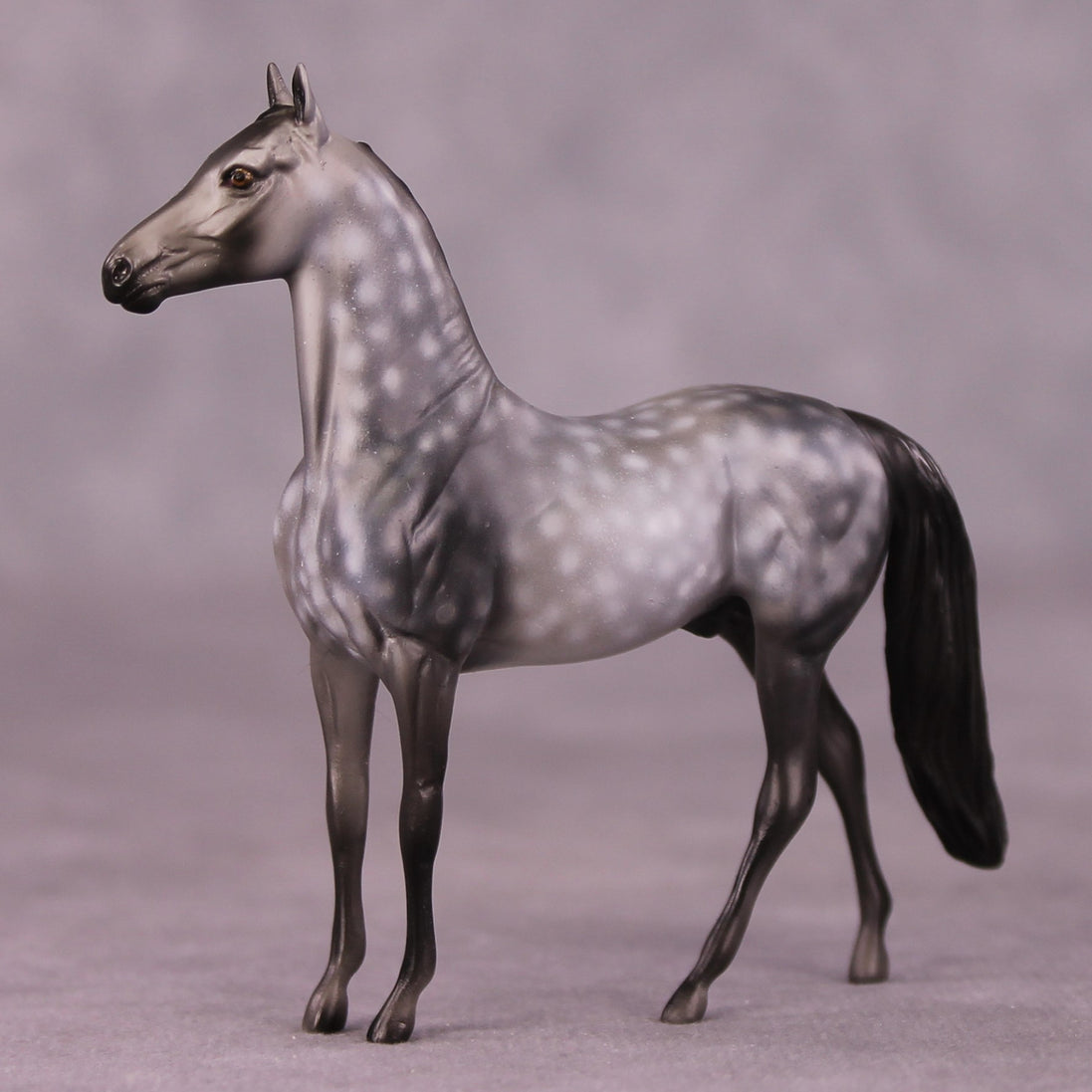 "Scion" OOAK Morgan Chip by Dawn Quick SHCF25OS