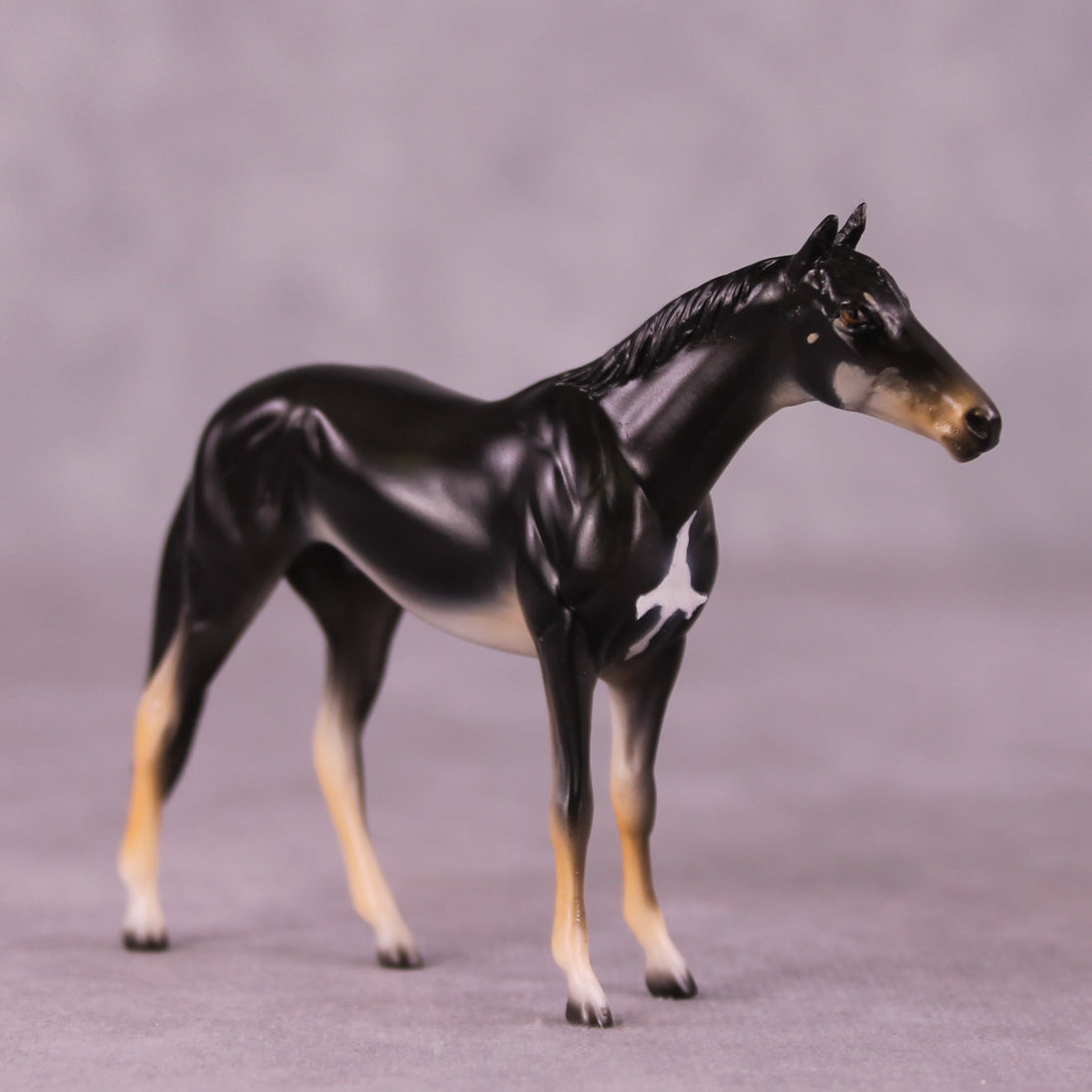 "Berri" OOAK Thoroughbred Chip by Jess Hamill MS25
