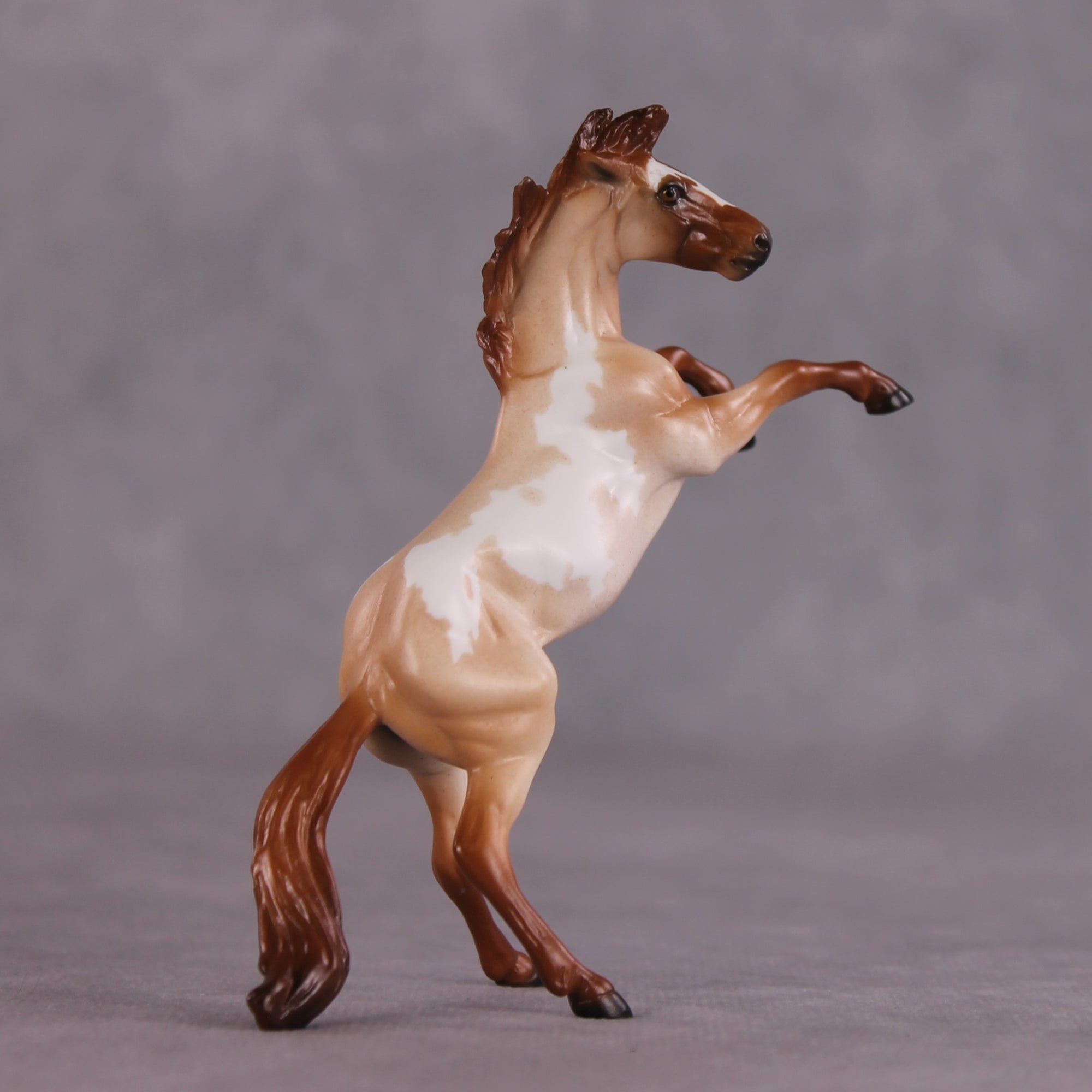 "Ocean of Fire" OOAK Rearing Chip by Ellen Robbins SHCF25