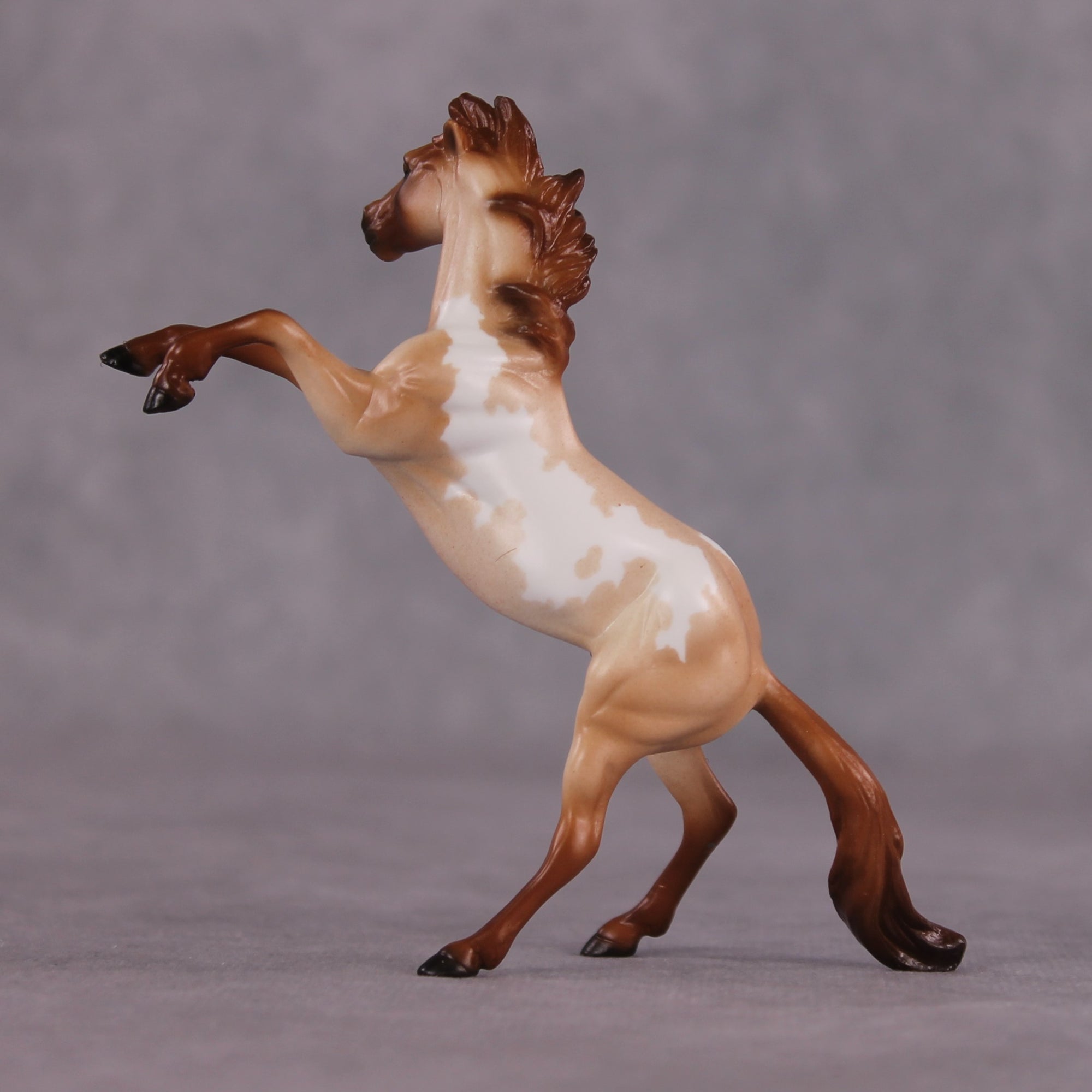 "Ocean of Fire" OOAK Rearing Chip by Ellen Robbins SHCF25