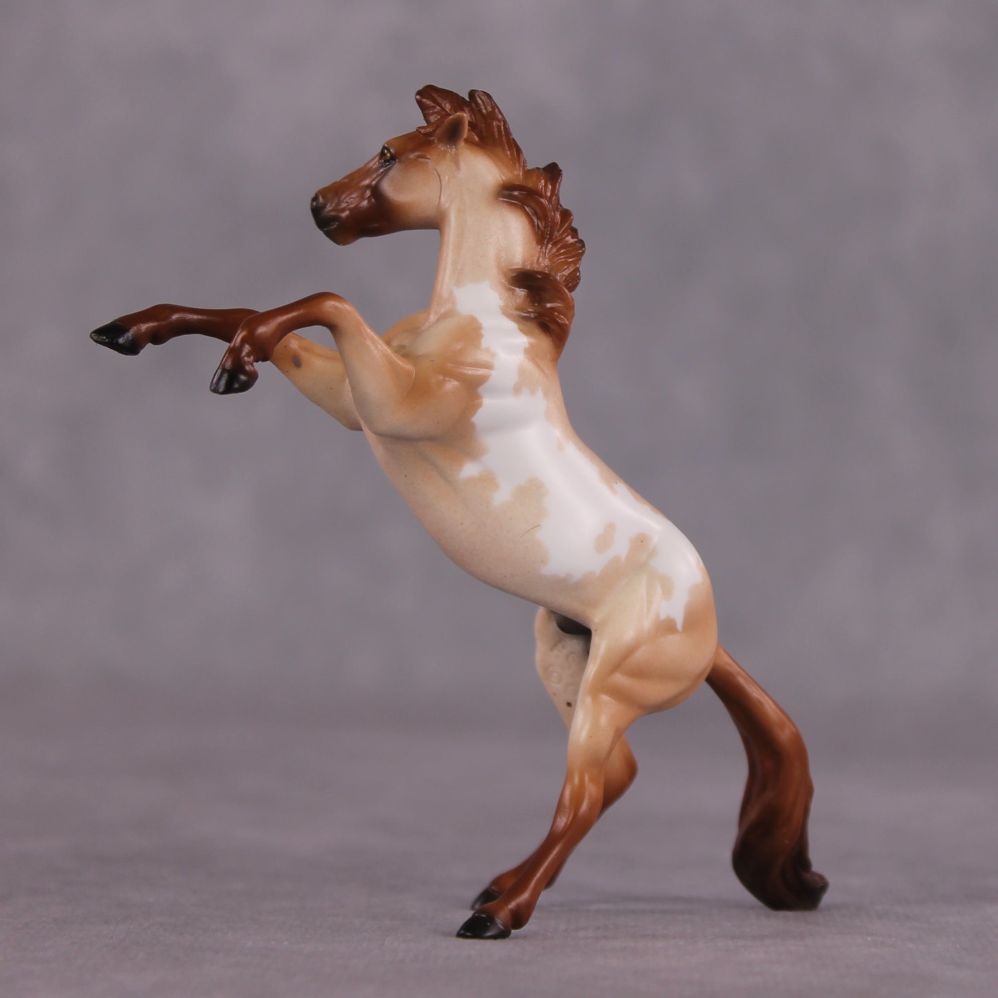 "Ocean of Fire" OOAK Rearing Chip by Ellen Robbins SHCF25