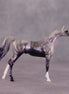 "Million" OOAK Arabian Chip By Ellen Robbins SHCF25
