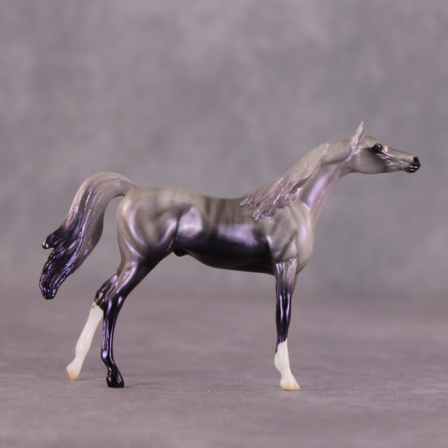 "Million" OOAK Arabian Chip By Ellen Robbins SHCF25