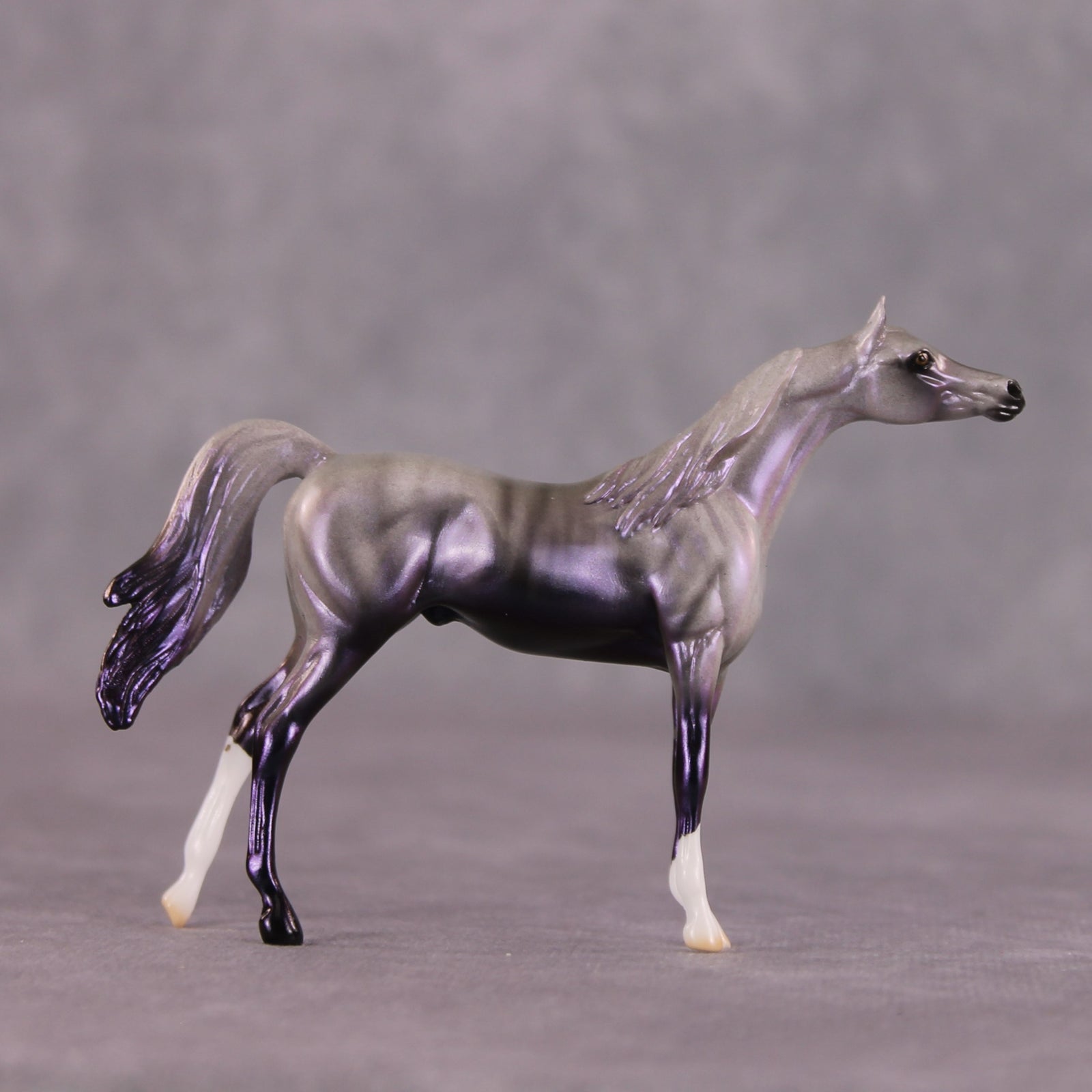 "Million" OOAK Arabian Chip By Ellen Robbins SHCF25