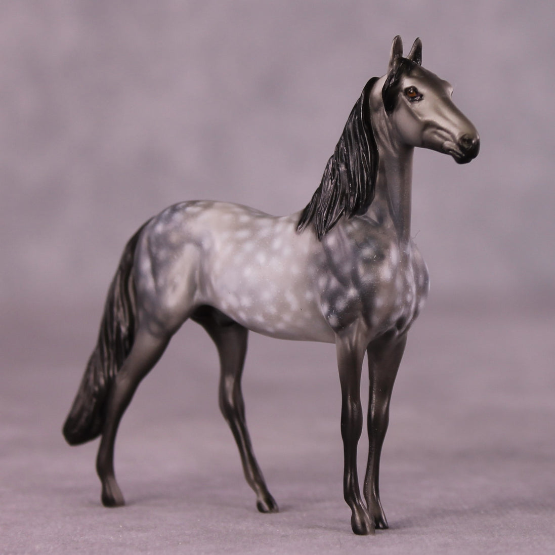 "Scion" OOAK Morgan Chip by Dawn Quick SHCF25OS